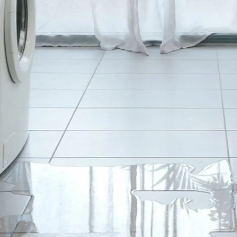 Appliance Leak Cleanup in South Gastonia, NC