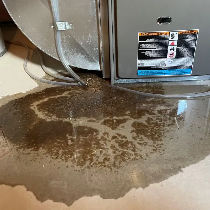Pipe Burst and Leak Restoration in South Gastonia, NC
